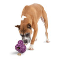 Pet Supplies P830
