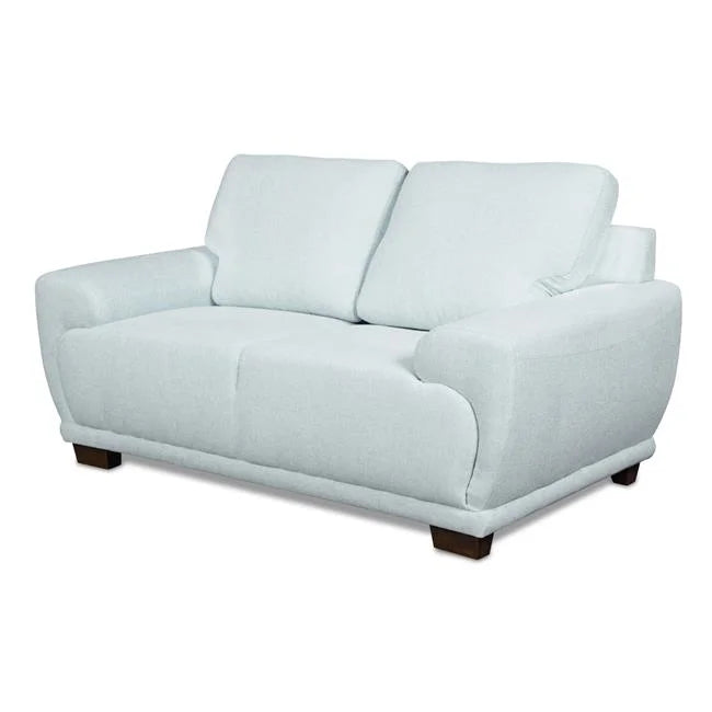 Light Blue Fabric Upholstered Wooden Loveseat Y21157
