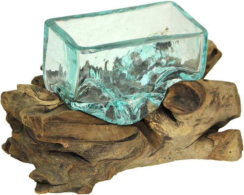 Rectangular Glass On Driftwood Decorative Bowl Q927939