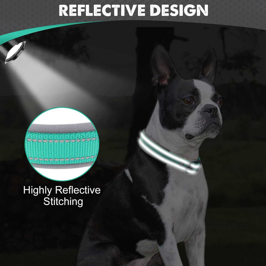 Reflective Neoprene Padded Nylon Adjustable Dog Collar B220843