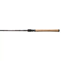 Fishing Spinning C31158