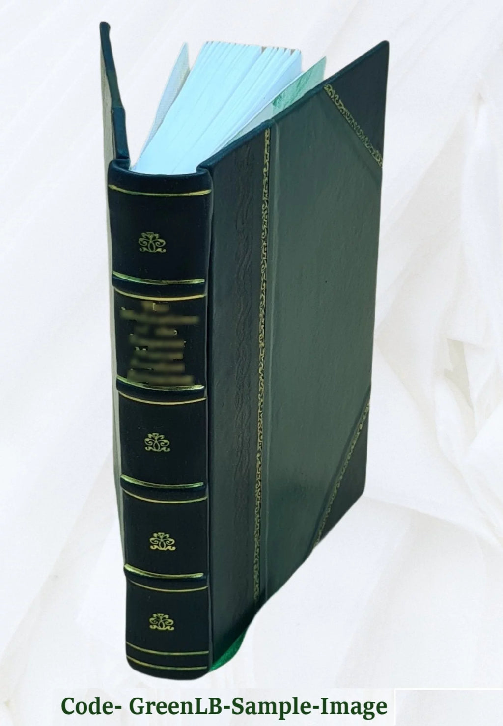Domestic Cookery Leather Bound E4108